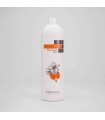 SHAMPOO ARGAN 1lt / αναδόμησης